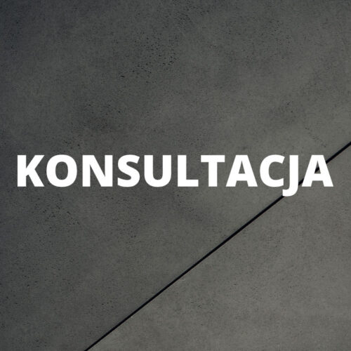 Konsultacja 1 godzina